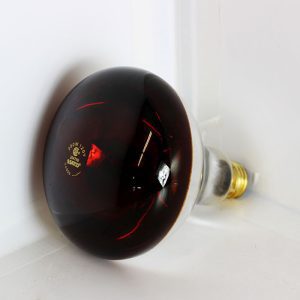 Red Infra-Red Bulb