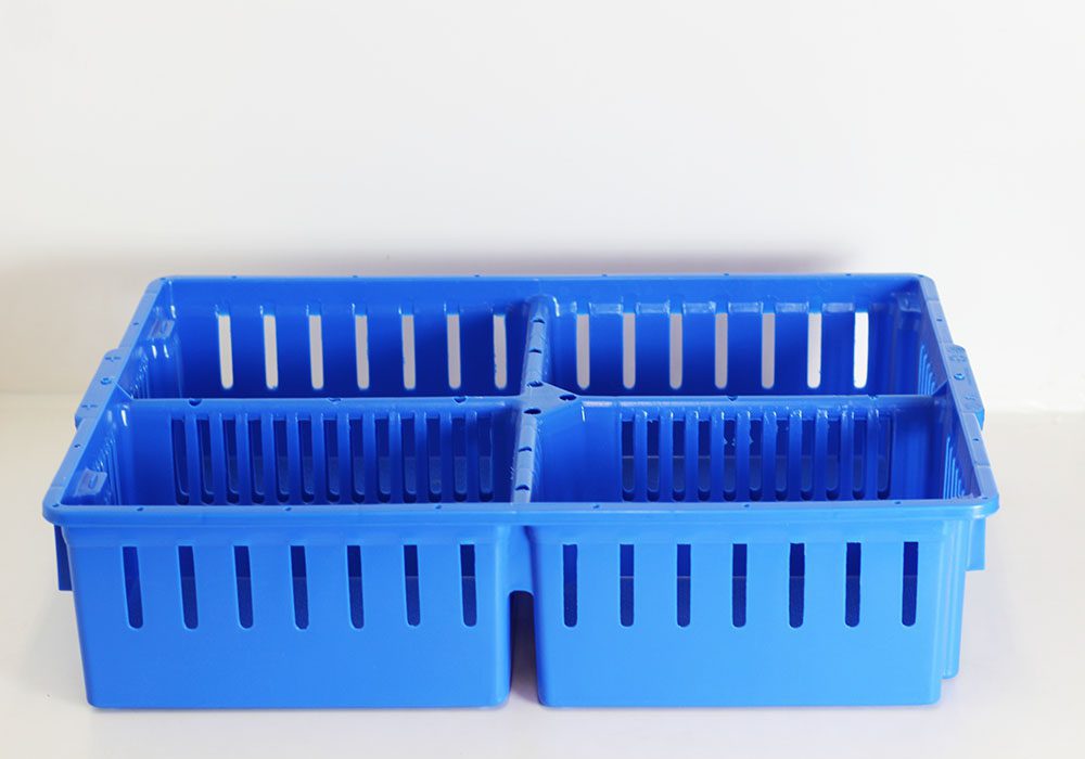 4 Compartment Chick Box - Image 2