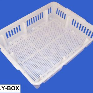 Non-Divided Chick Box